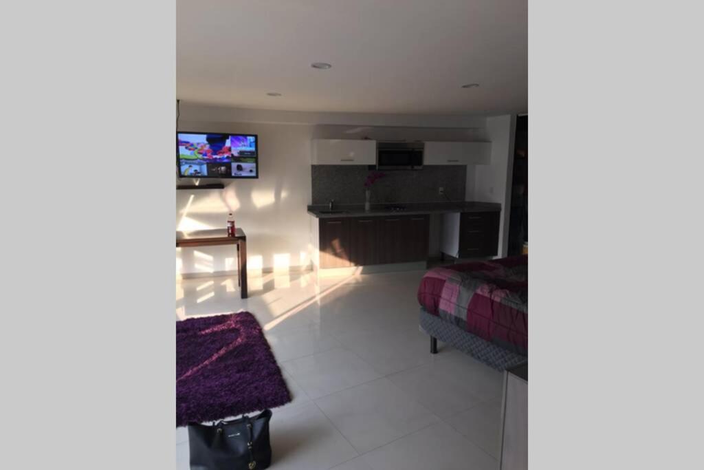 Increible Loft En Ph Zona Polanco B Appartement Mexico-stad